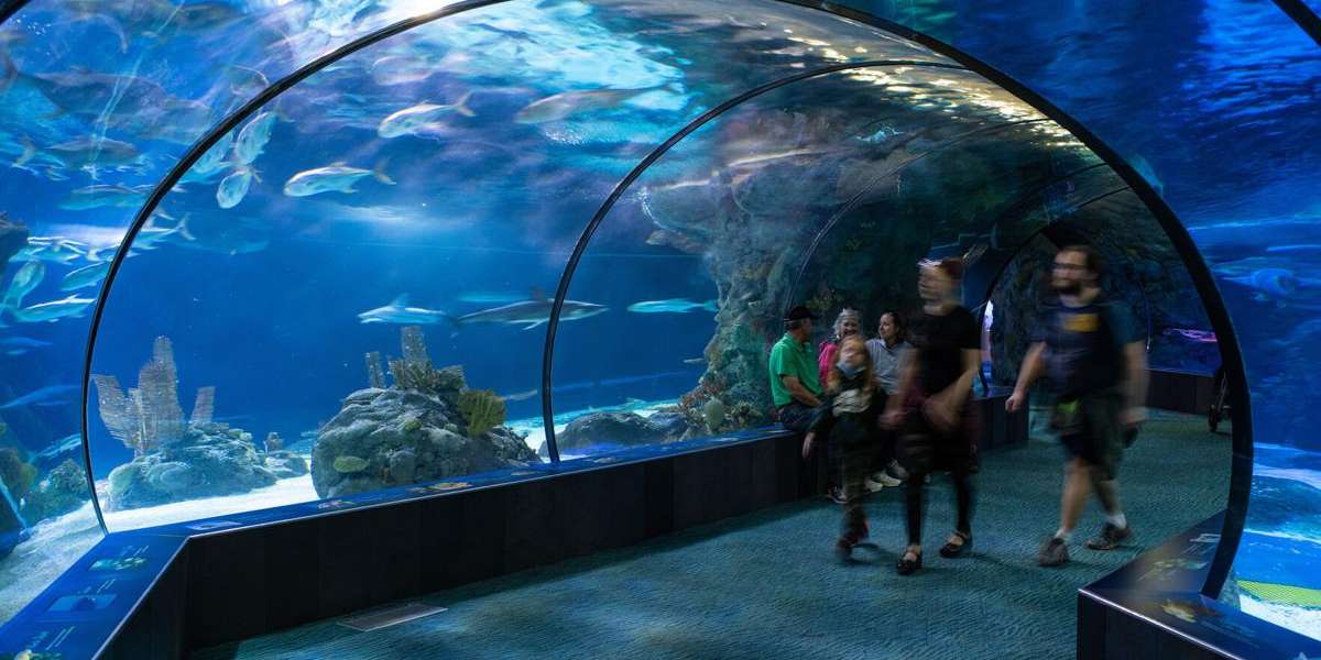 Omaha’s Henry Doorly Zoo and Aquarium