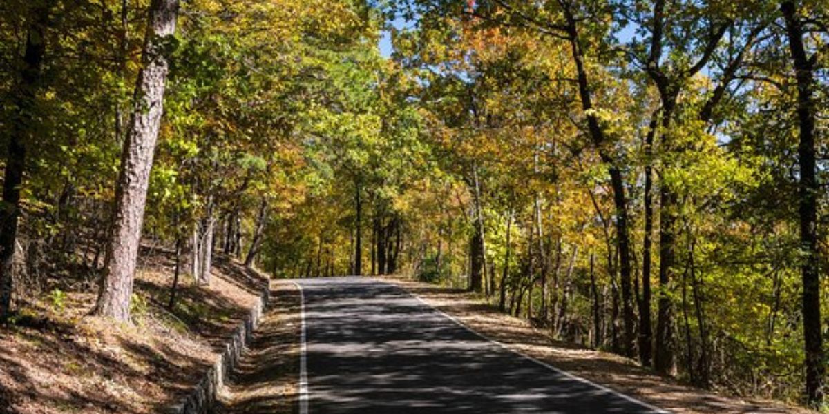Hot Springs Mountain Scenic Drive