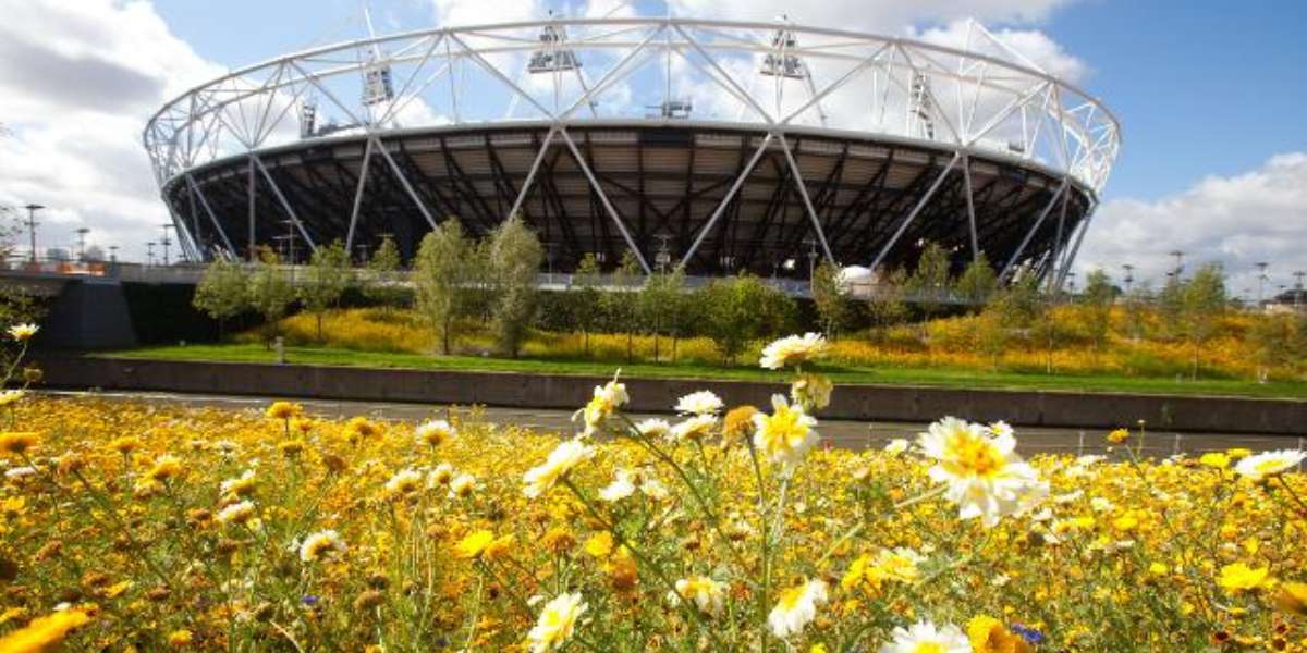 Olympic Park and Stadium